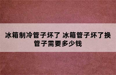 冰箱制冷管子坏了 冰箱管子坏了换管子需要多少钱